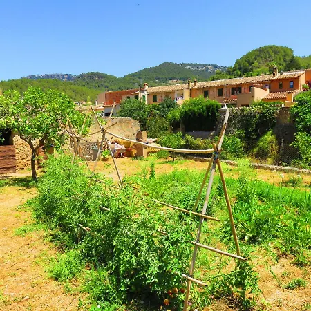 Sa Fita Backpackers - Juvenil *