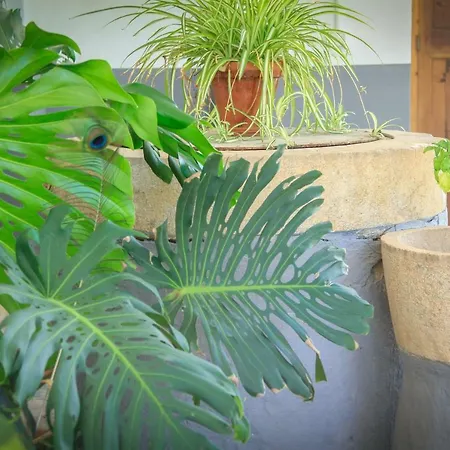 Hostel Sa Fita Backpackers - Juvenil